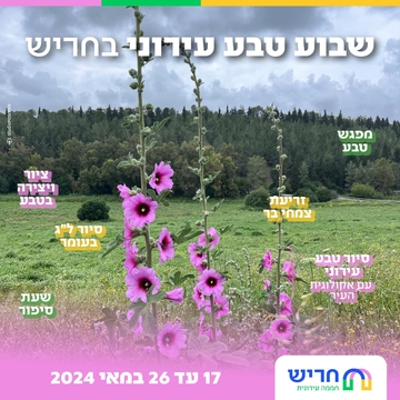 תמונת: שבוע טבע עירוני
